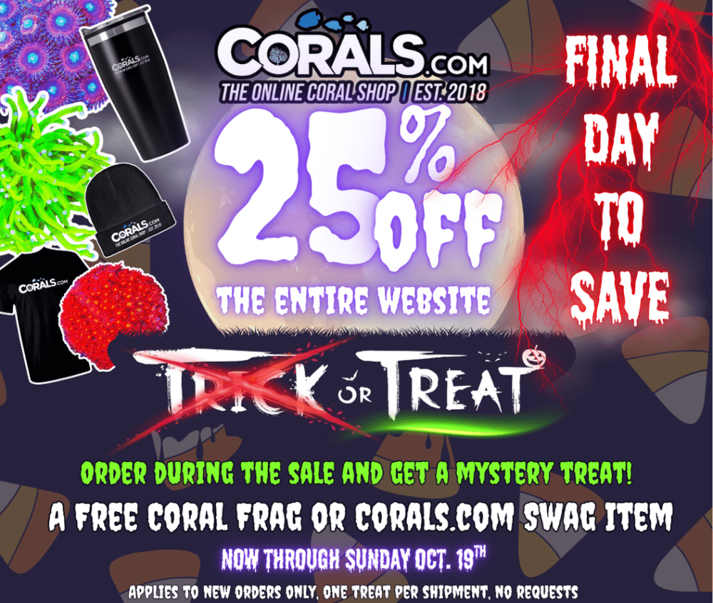 Trick or Treat 2025.png