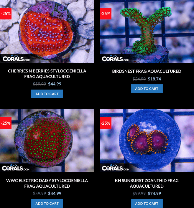 Screen Shot 2023-01-17 at 8.59.07 AM.png