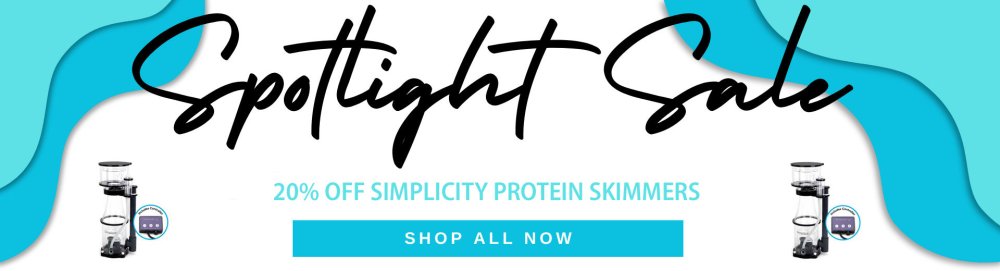 MAY-Spotlight-Sale-SIMPLICITY.jpg MAY-Spotlight-Sale-SIMPLICITY.jpg