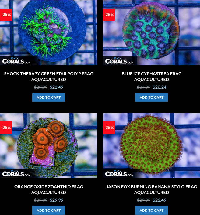 Screen Shot 2023-01-17 at 8.59.13 AM.png