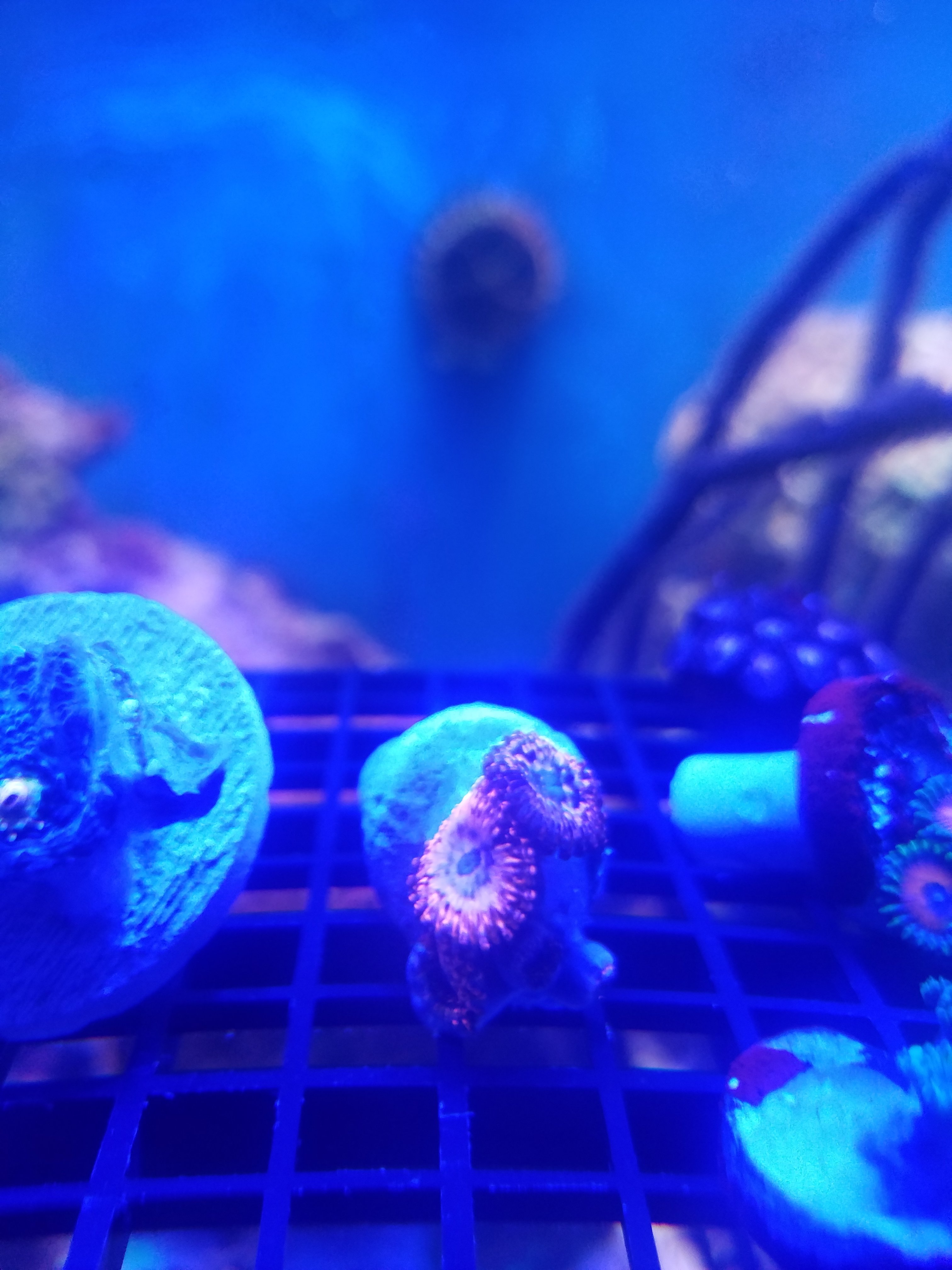 20210806_191401.jpg