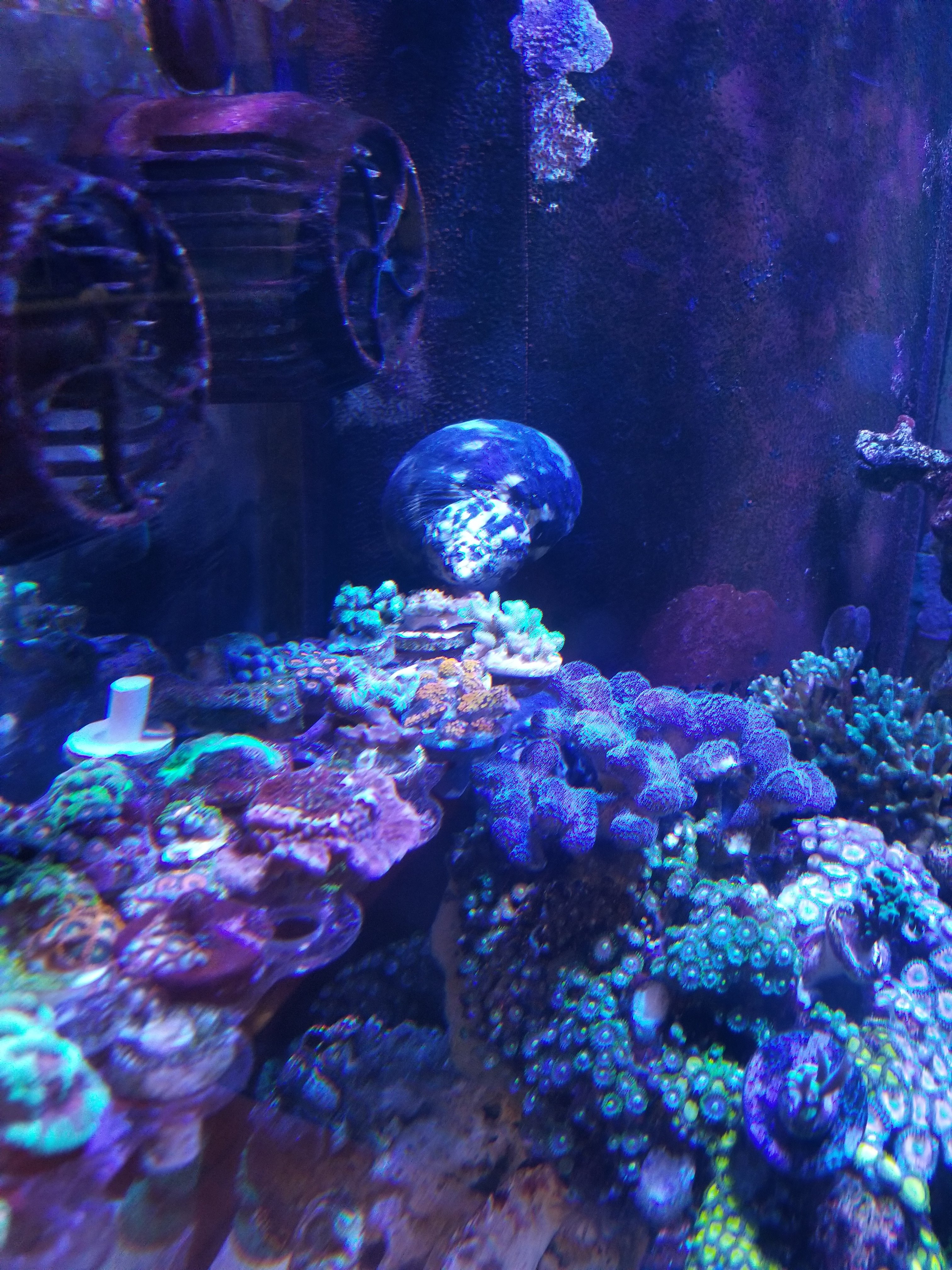 20201125_181033.jpg