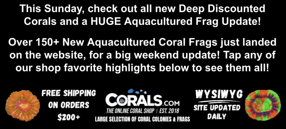 Screenshot 2026-01-09 at 2.10.01 PM.png