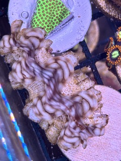 IMG_8708.jpg