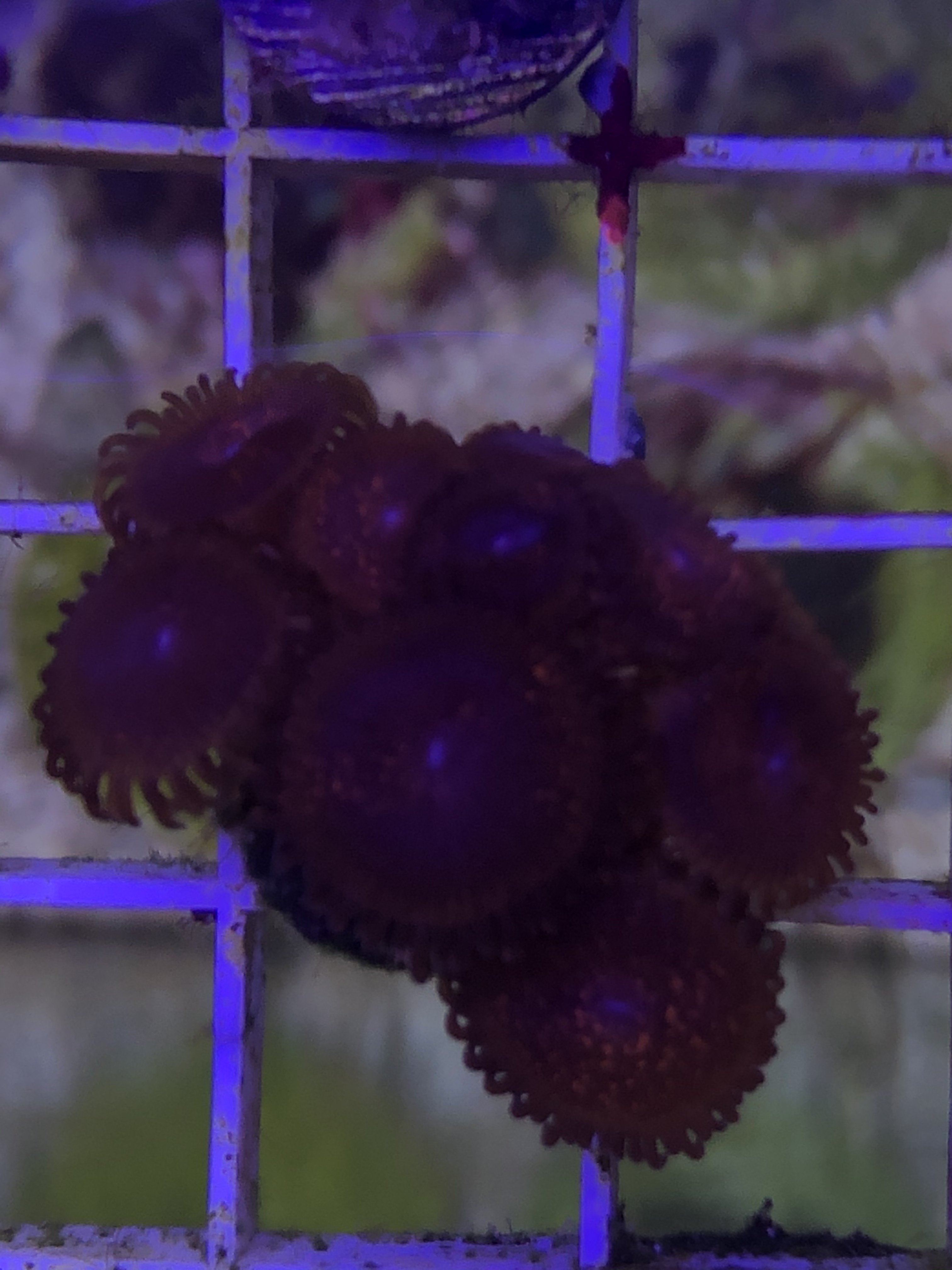 3407B4A3-D148-4B33-A2CD-5F819403126A.jpeg