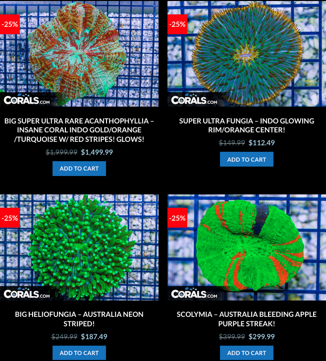 Screen Shot 2023-01-24 at 9.06.06 AM.png