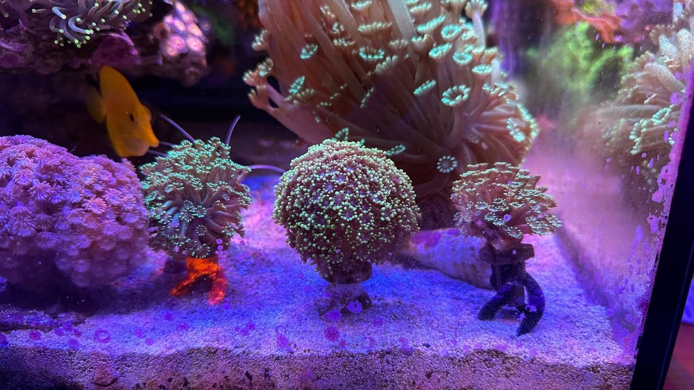 WhatsApp Image 2022-11-19 at 5.26.58 PM.jpeg