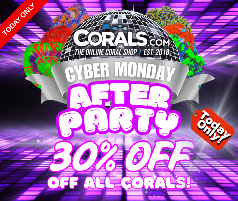 website after party anniversary (1).png