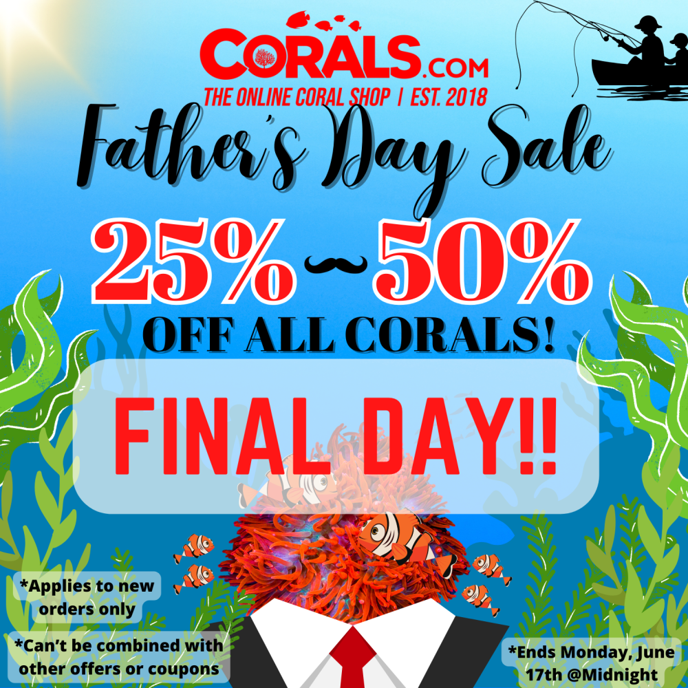 Fathers Day Sale 2024(1).png