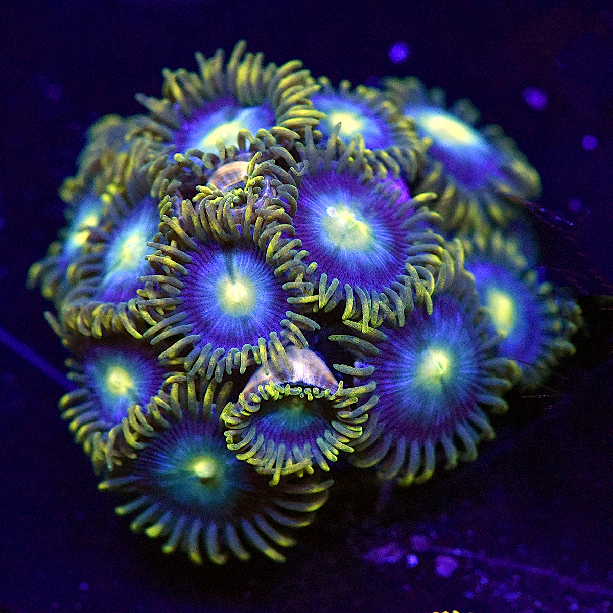 DSC_5048.JPG