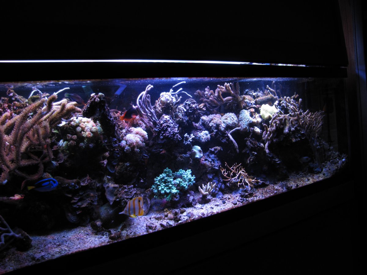 FTS Nov 2012.JPG