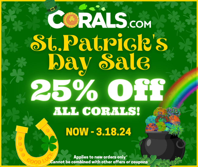 St. Patrick's 2023(1).png St. Patrick's 2023(1).png