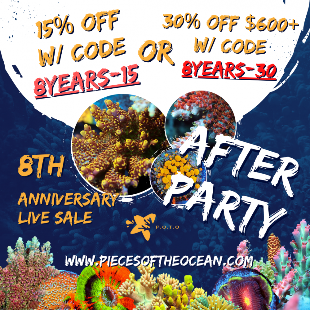 POTO - Anniversary Sale (2).png POTO - Anniversary Sale (2).png