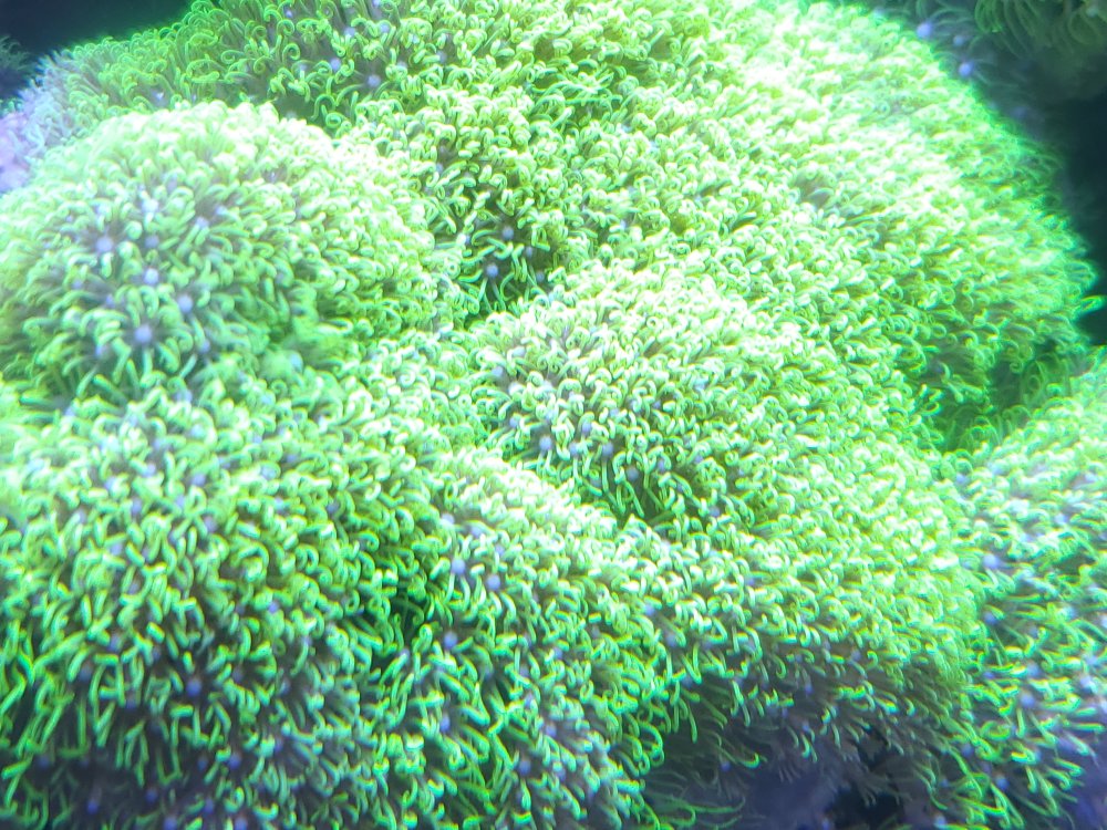 20240116_125629.jpg