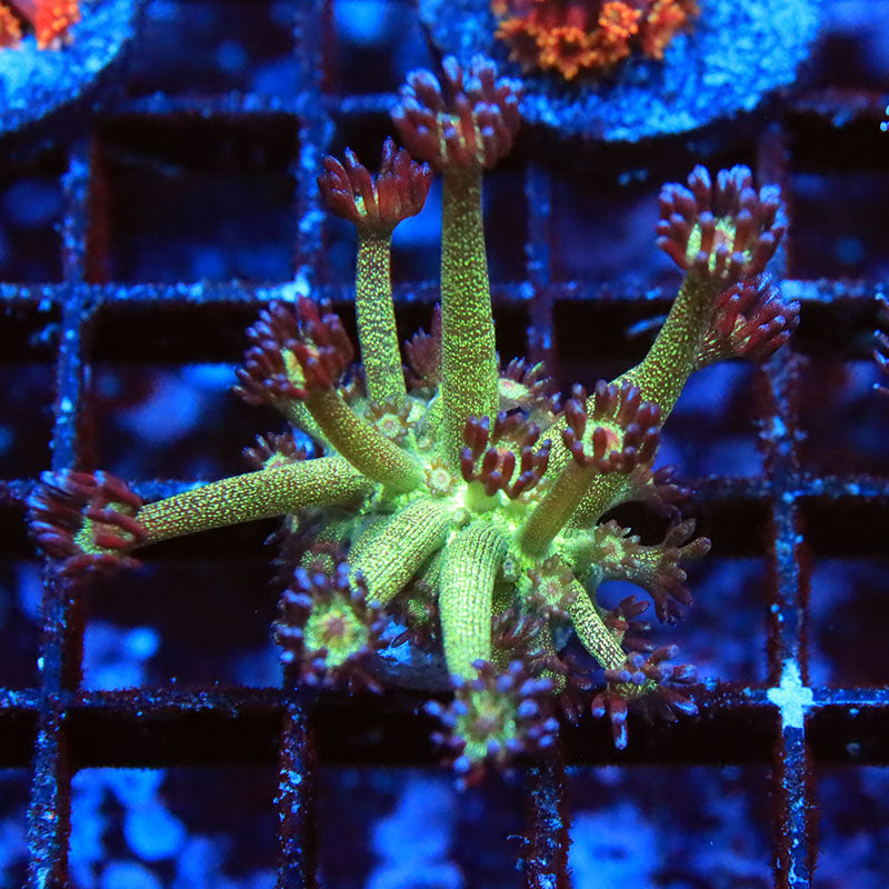 m1-ls-0210-021.jpeg m1-ls-0210-021.jpeg