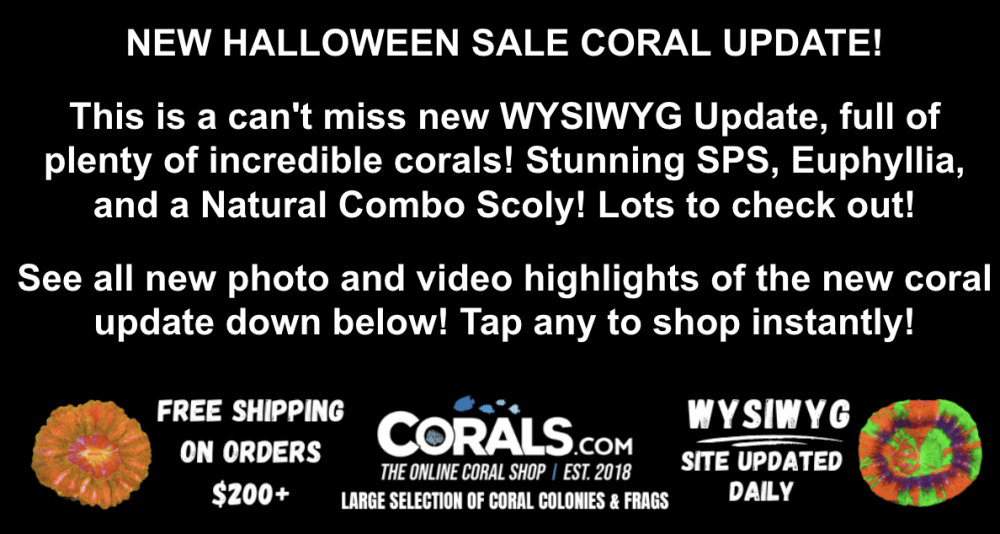 Screenshot 2025-10-28 at 3.40.02 PM.png