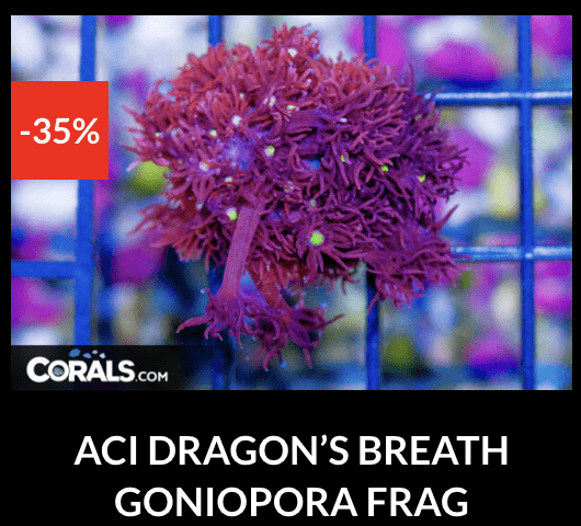 Screenshot 2026-04-10 at 10.39.28 PM.png