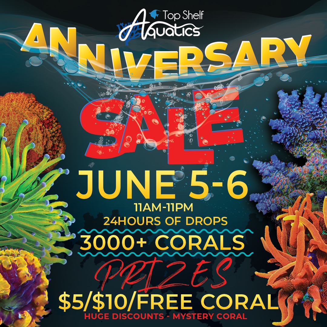 ANNIVERSARYSALE_MainFlyer_1080x1080.jpeg