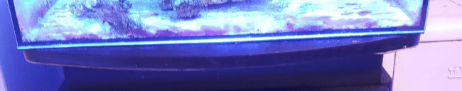 Screen Shot 2022-11-30 at 5.32.46 PM.png