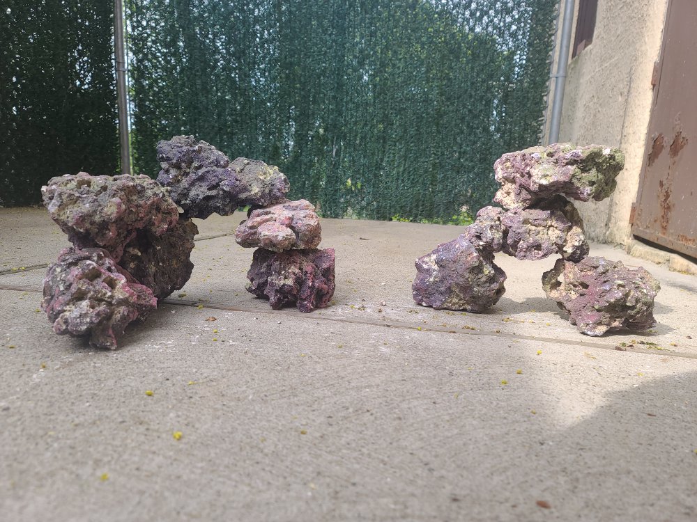 20220503_162746.jpg