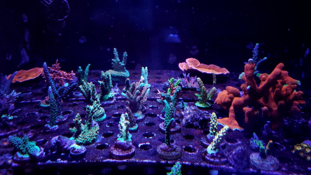 20220518_151522.jpg 20220518_151522.jpg