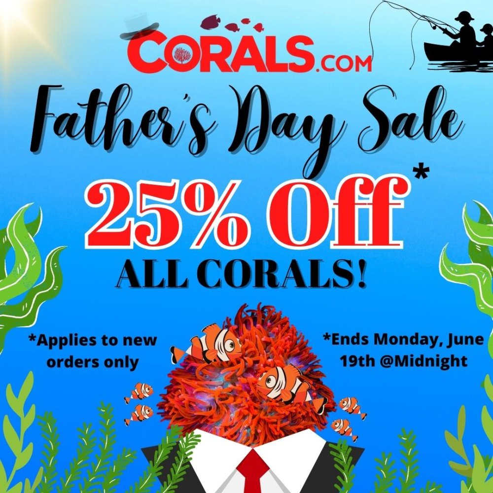 Fathers Day Sale 2023.jpg Fathers Day Sale 2023.jpg