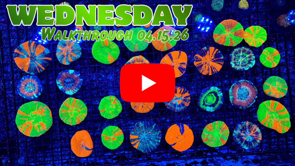 Walkthrough 04.15.26(1).png