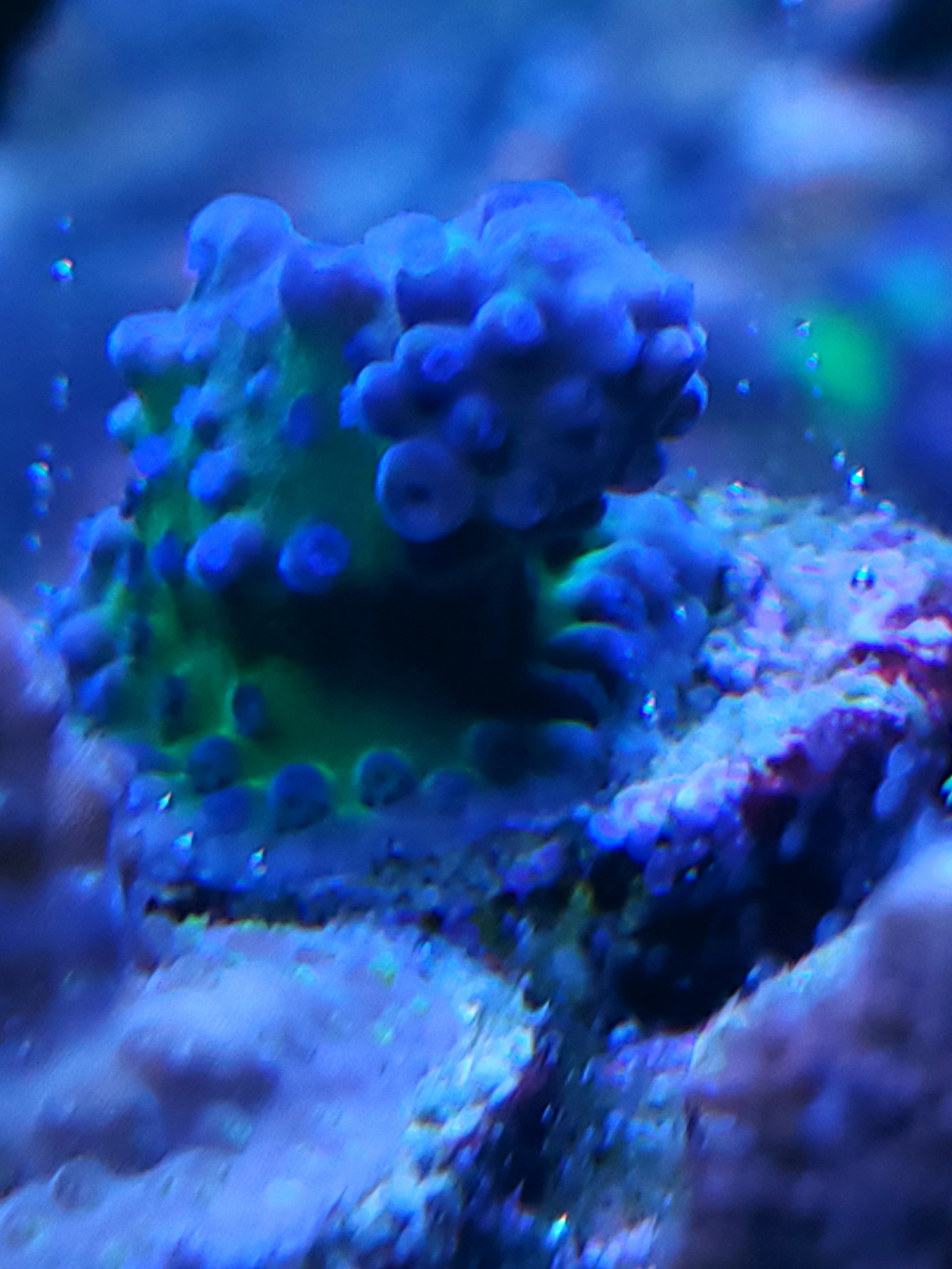 20201124_180945.jpg