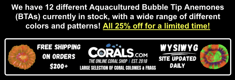 Screenshot 2026-02-05 at 1.57.09 PM.png