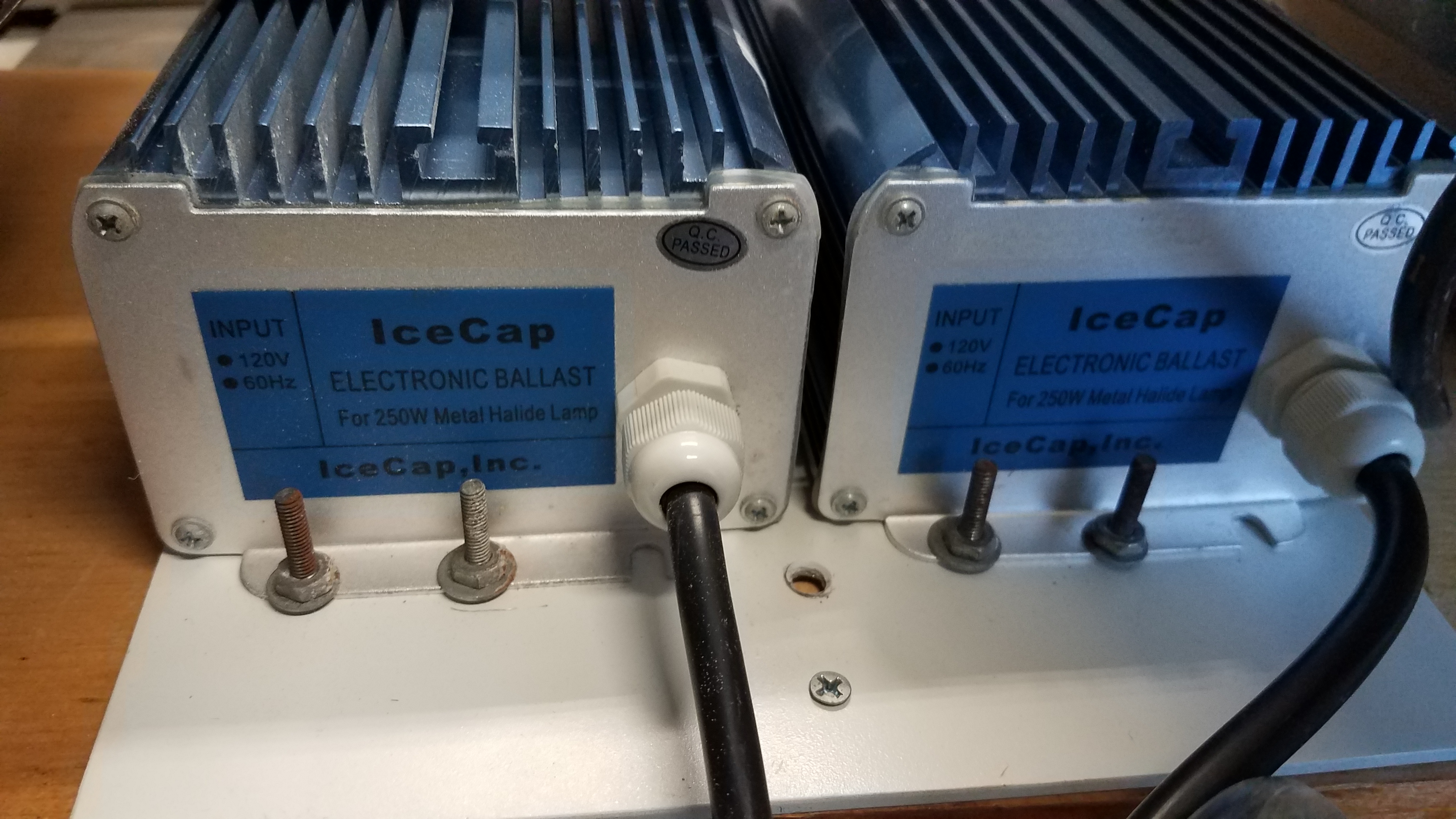 20191004_174927.jpg 20191004_174927.jpg
