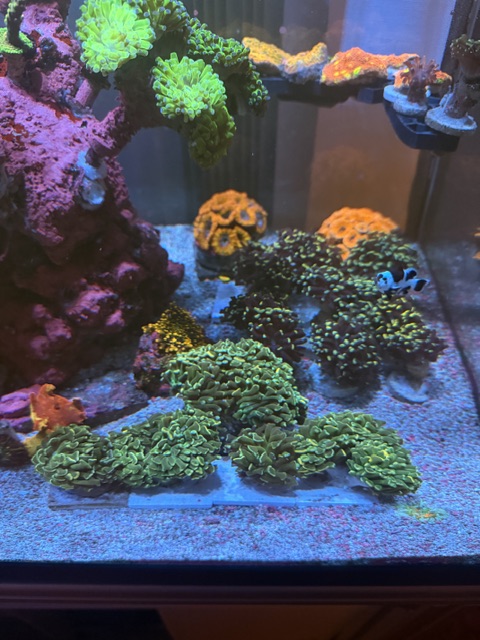 IMG_0027.jpeg
