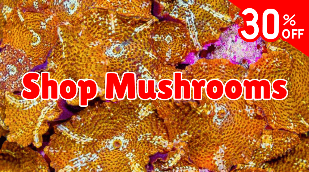Shop mushrooms.png