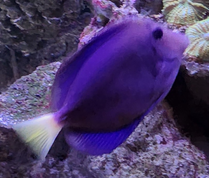 20230629_172110.jpg
