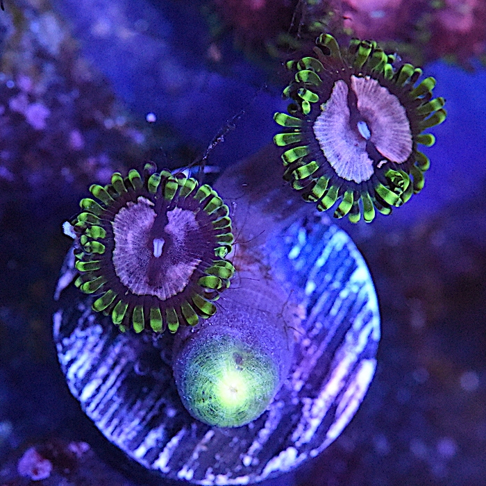 DSC_2758.JPG