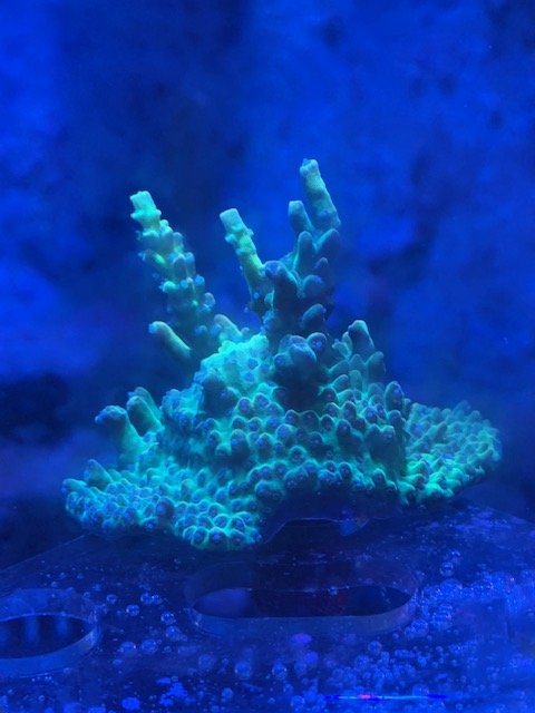 image8.jpeg