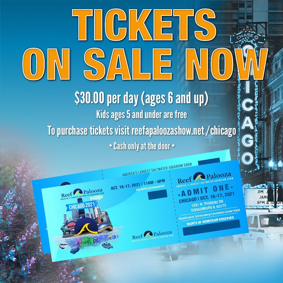 Chicgo-2021 Tickets On Sale.jpg Chicgo-2021 Tickets On Sale.jpg
