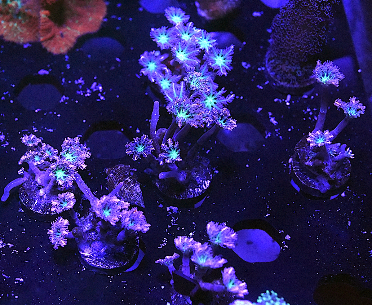 DSC_5025.JPG