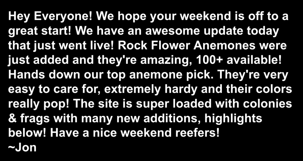 Screen Shot 2023-06-24 at 11.56.10 AM.png