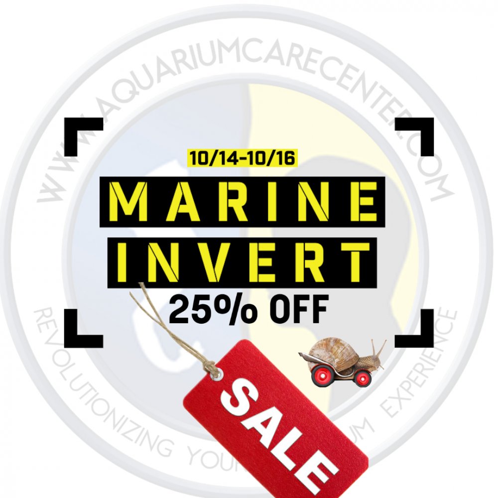 25% OFF.jpeg 25% OFF.jpeg