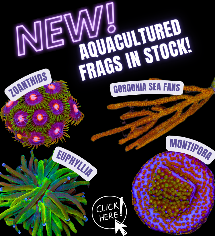 new aquaculture.png