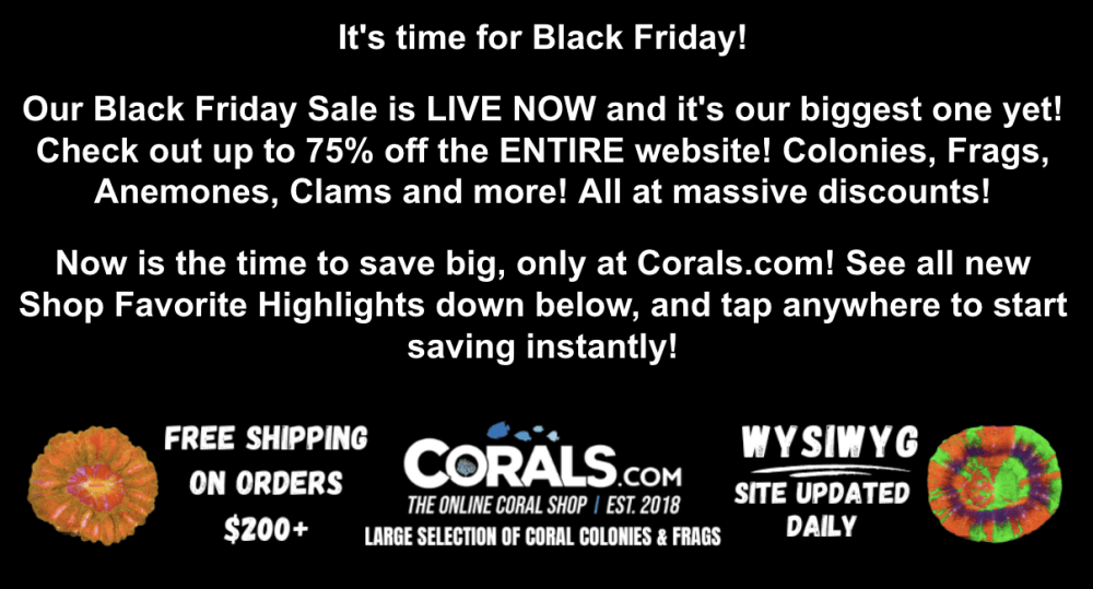 Screenshot 2025-11-21 at 10.21.52 AM.png