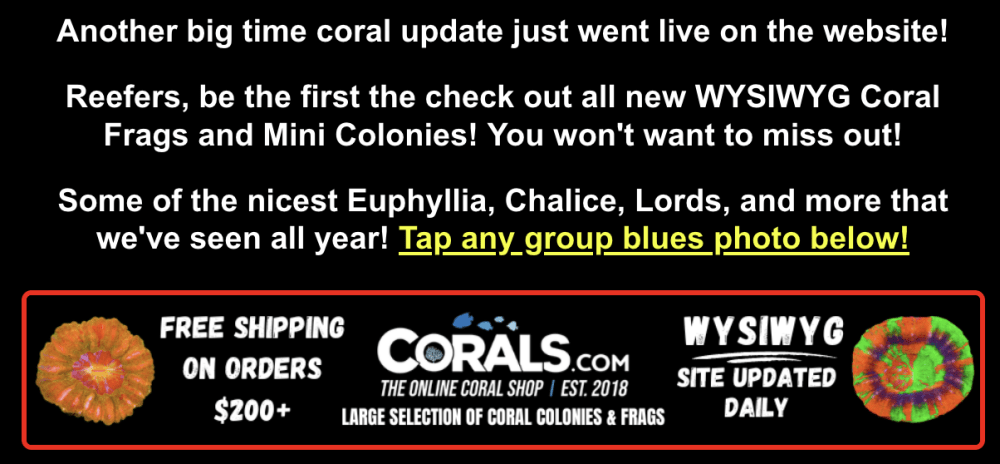 Screenshot 2025-12-04 at 1.30.53 PM.png