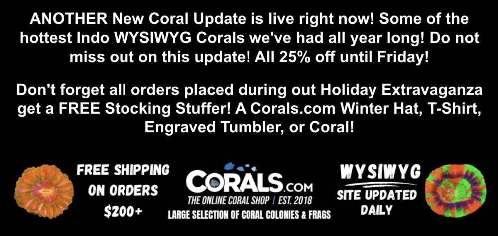 Screenshot 2025-12-23 at 10.53.23 AM.png