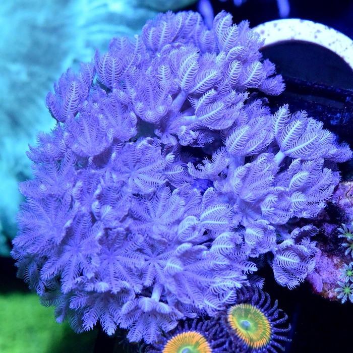 DSC_2706.JPG