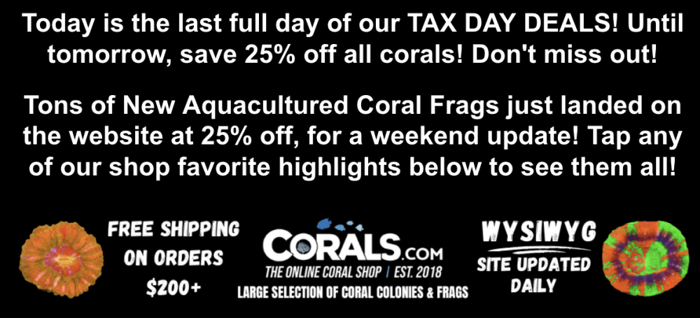 Screenshot 2026-04-17 at 10.18.26 AM.png