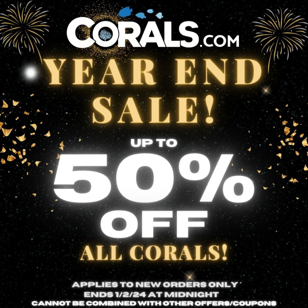 Year end SALE 2022 Instagram Post.jpg
