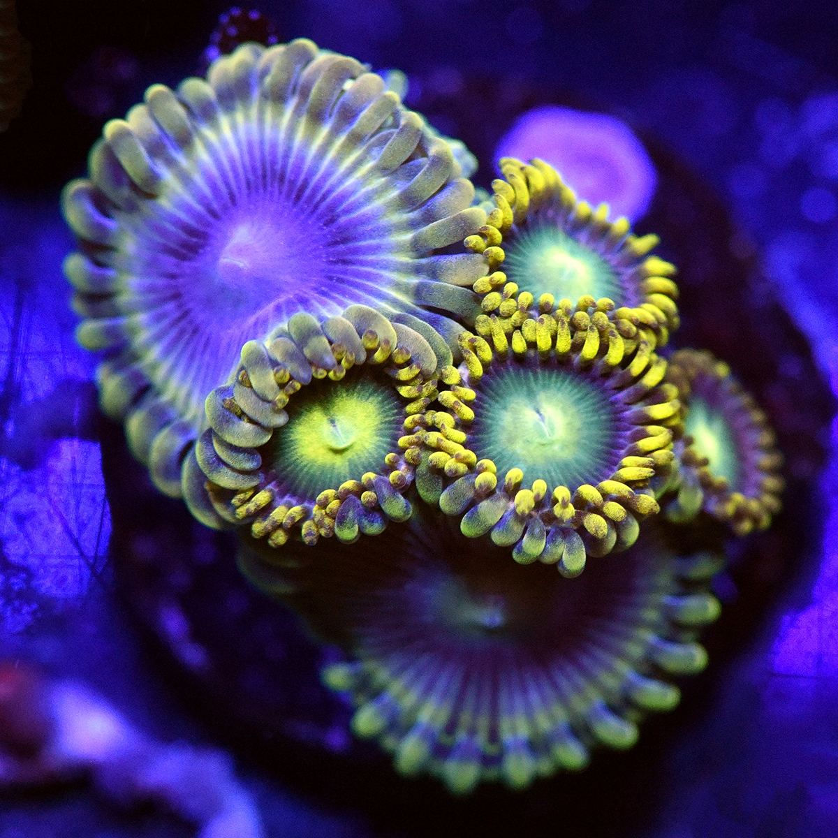 DSC_5064.JPG