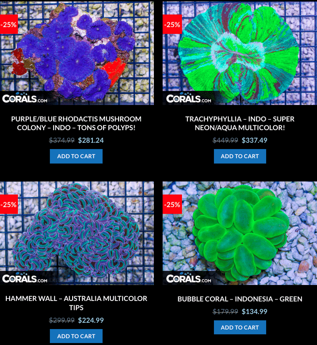 Screen Shot 2023-01-24 at 9.04.41 AM.png