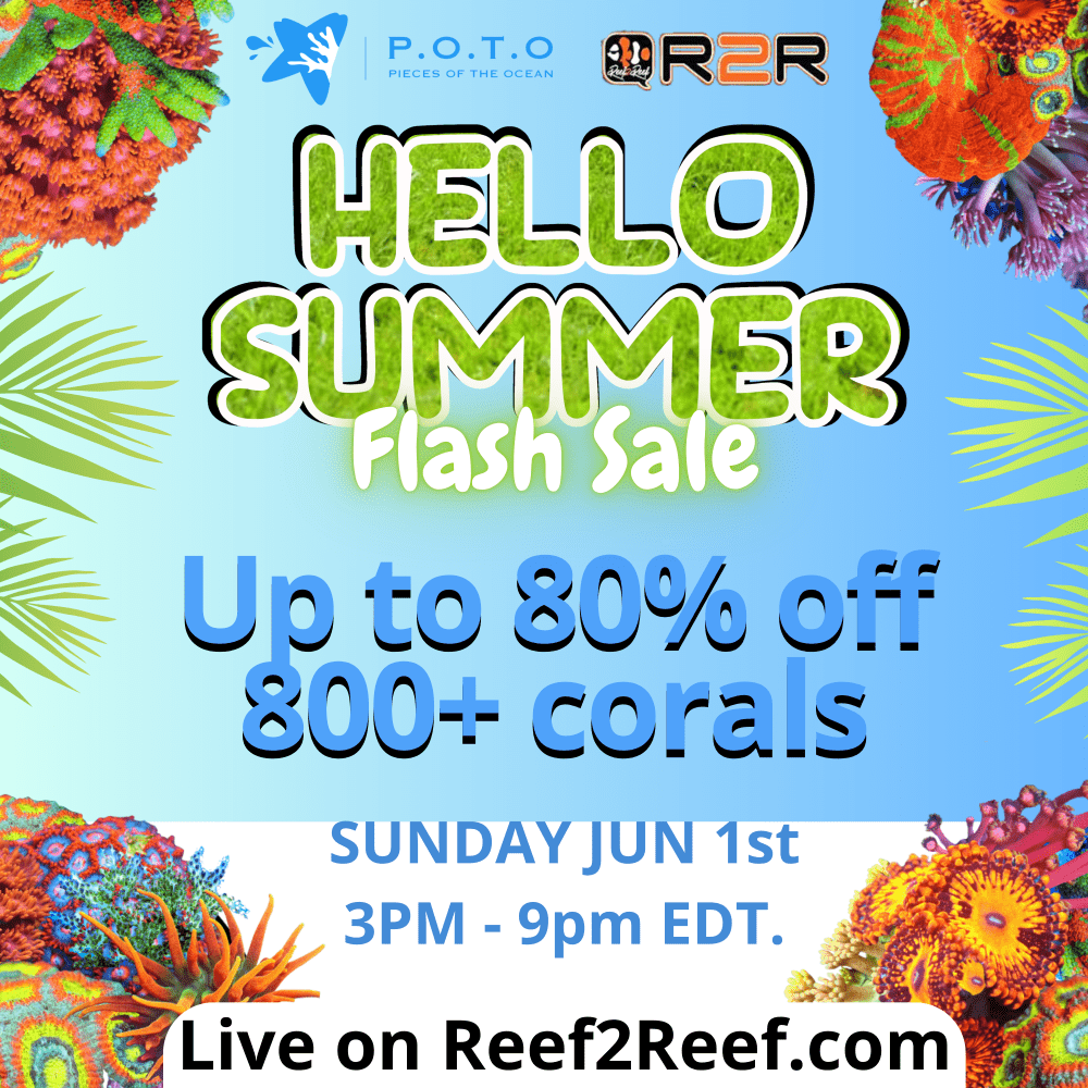 hellosummer-square.png