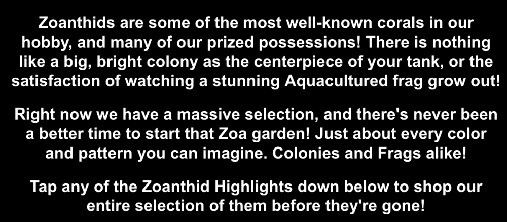 Screenshot 2026-02-26 at 9.57.26 AM.png